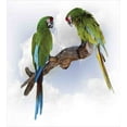 thumbnail image 3 of Ambesonne Tropical Duvet Cover Set, 2 Parrot Macaw Bird, 2-Calking, Green White Brown, 3 of 7