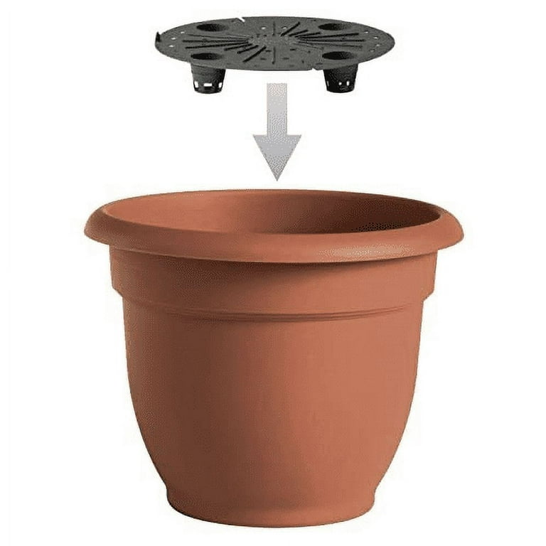 Bloem Ariana Self Watering Planter 6 Bloem Ariana Self Watering Planter 6