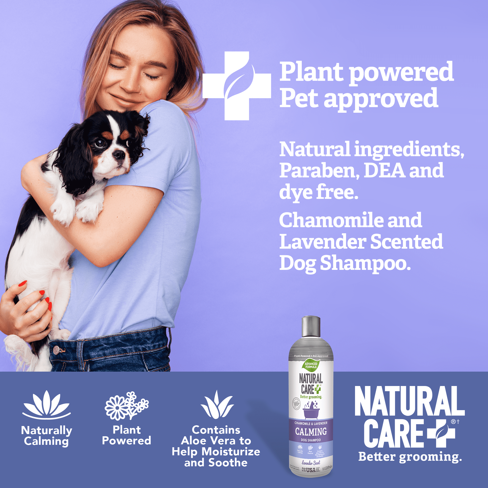 Dry dog top shampoo petsmart