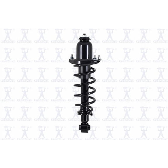 Suspension Strut and Coil Spring Assembly