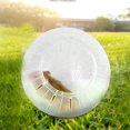 thumbnail image 2 of Balle pour Hamster Nain Accessoires - Roue Silencieuse pour Hamster - Balle pour Hamster Syrien - Jouet pour Hamster Petits Animaux - Mini Balle d'Exercice (Bleu, 4.72 Po), 2 of 5