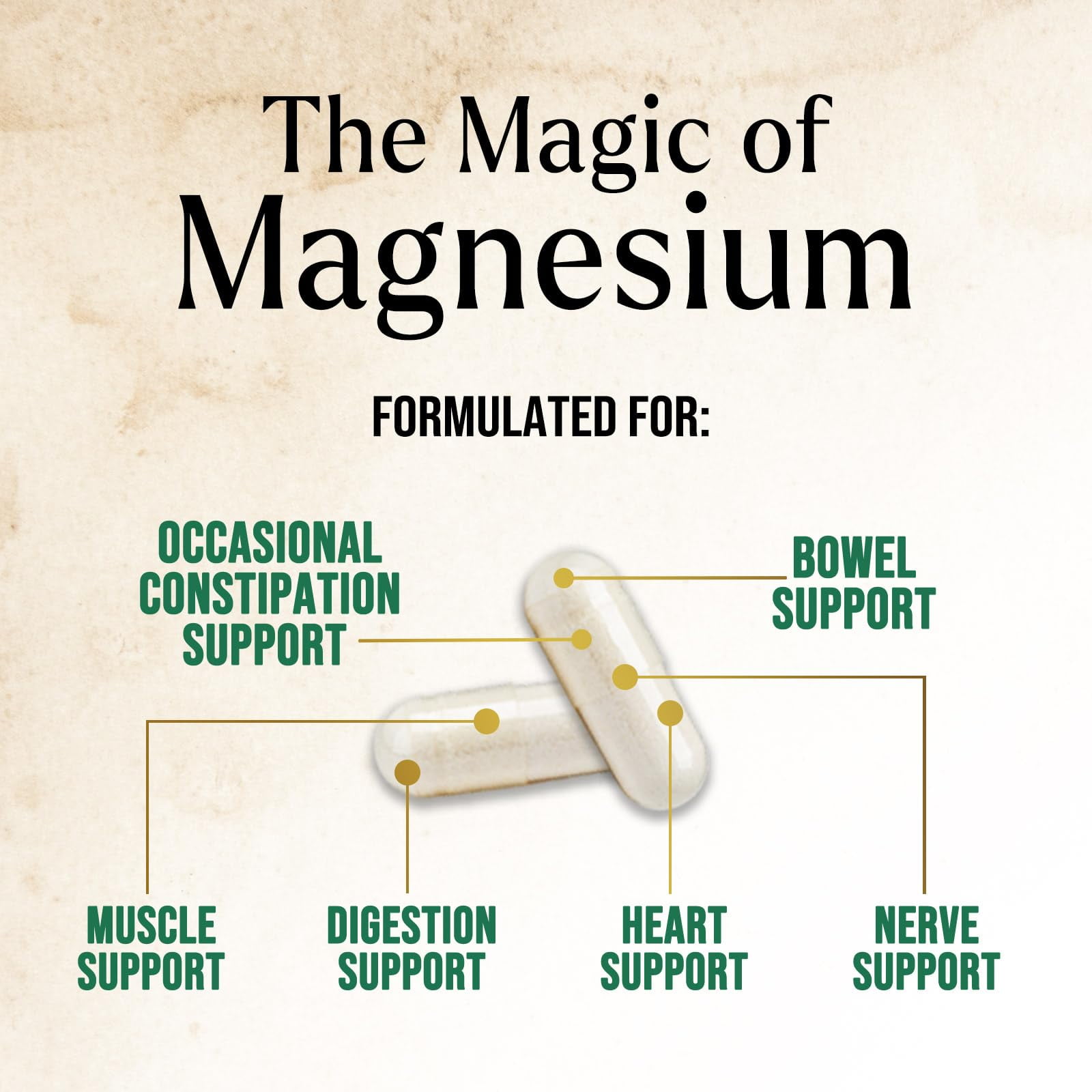 Magnesium Citrate Capsules - Max Absorption Magnesium Powder - Muscle, Bone, Nerve & Heart Health Support - Premium Formula is Powerful & Gentle for Women & Men - Bottled in USA - 120 Capsules