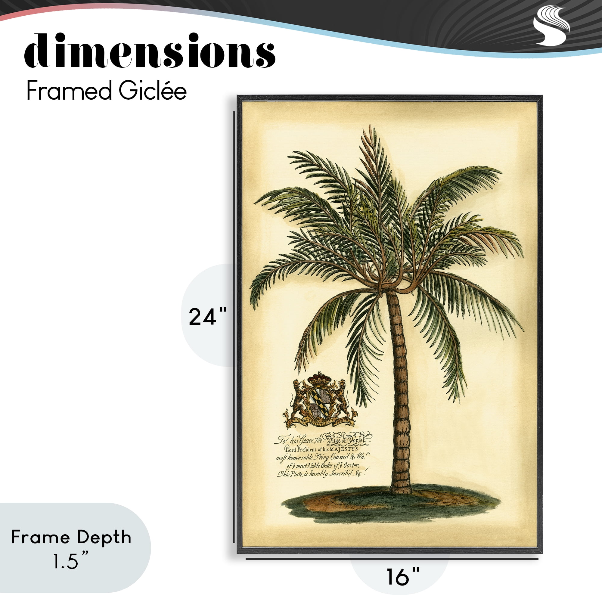 Stupell Industries British Colonial Palm Black Framed Giclee Art, design by Vision Studio