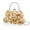 Champagne, variant on Dark Blue Women Evening Clutch Small Floral Satin Purse with Detachable Strap for Wedding Party Prom