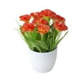 thumbnail image 1 of TIELUTT In Realistic Floral Arrangement Centerpiece for Home Flowers for Outdoor Flower Flower Centerpieces for Tables Hanging Flowers Outdoor Mini Roses Flowers, 1 of 5