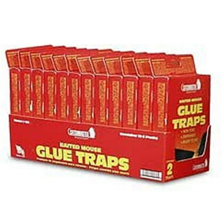 ATLANTIC PASTE & GLUE 102 2PK C Mast Mouse Gl Trap Case of 24