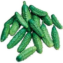 Parisian Gherkin Cucumber Seeds for Planting (20 Seeds) - Delicious and Easy to Grow