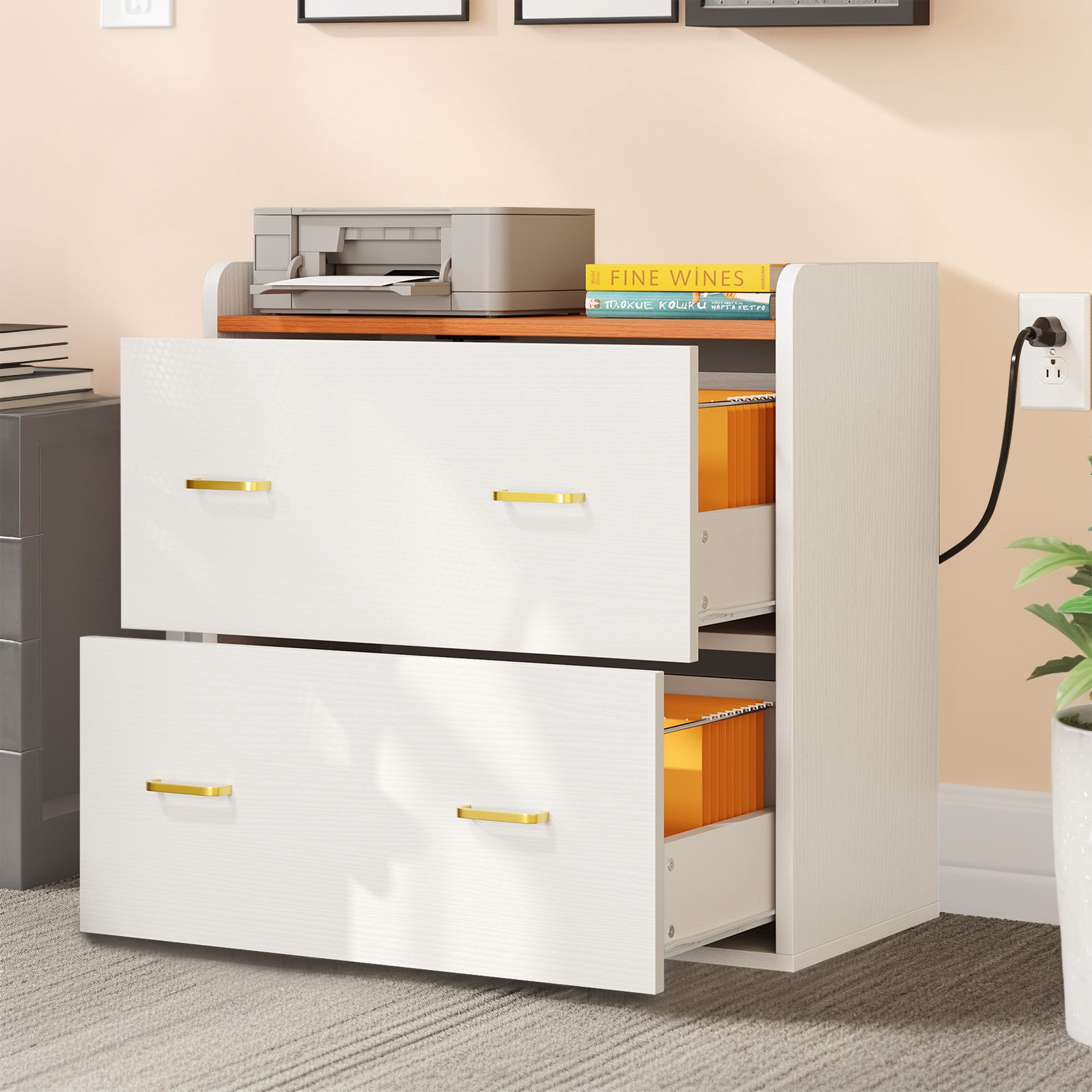 Dextrus 2 Drawer File Cabinet with Charging Station, Wood Lateral Filing Cabinet Printer Stand Fits A4 Letter Legal Size Files, White & OAK