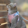 thumbnail image 3 of Pet Cat Chest Harness  Reflective Breathable Leash  Small Dog Puppy Sport Training Walking Safety Vest Harnesses, 3 of 5