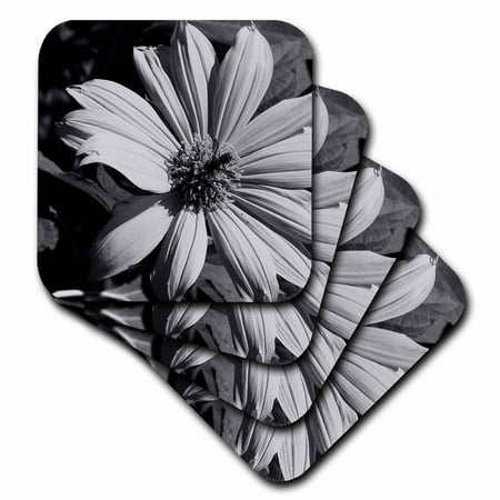 

3dRose Bee Black n White Flower Soft Coasters set of 4