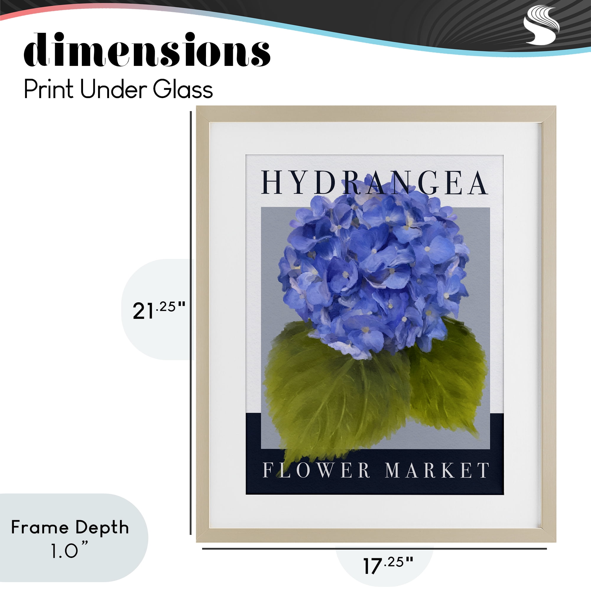 Stupell Industries Hydrangea Flower Market Birch Framed Print Under Glass, design by Jennifer Stith