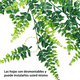 thumbnail image 3 of Follaje Artificial Colgante Largo Helecho 2 Piezas Verdes Lab.G  Flor Decorativa Artificial, 3 of 4