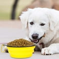 thumbnail image 4 of Portable Collapsible Pet Bowl Travel Food And Water Dish For Cats And Dogs Lightweight And Foldable Design Suitable For Outdoor Adventures Feeding And Hydration, 4 of 4