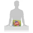 thumbnail image 3 of Dubble Bubble-Gumballs 1" in Diameter Variety Pack, 850 Gumballs, 3 of 3