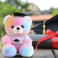thumbnail image 1 of Decoración del hogar, decoración de la habitación, decoración de la pared Oso de peluche con graduación Regalo de graduación Oso de peluche de graduación Conmemorativo de graduación Ella Él Universida, 1 of 6