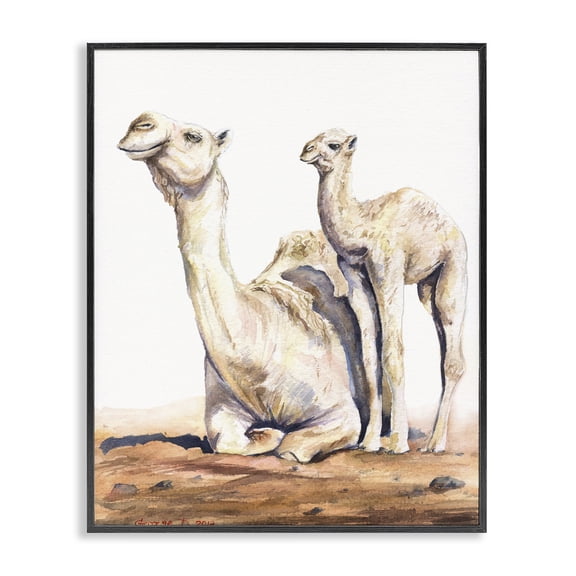 Stupell Industries Traditional Cute Baby Camel Family Animal Watercolor Black Framed Giclee Art, 11 x 14, by George Dyachenko