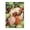 Wooden puzzle 104, variant on 500-Piece Adult Wood Jigsaw Puzzle, Sleeping Red Fox in Forest with Mushrooms and Leaves Whimsical Art, Intellectual Challenge, Stress-Relieving Activity, Home Wall Decor 20.5x15in