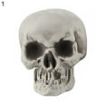 thumbnail image 1 of Koszal Skull Ornament Creative Delicate Realistic Human Skull Statue Head Bone Model for Party, 1 of 8