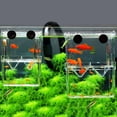 thumbnail image 4 of Acrylic Fish Tank Breeding Isolation Box Aquarium Hatchery Incubator Holder Aqua, 4 of 5