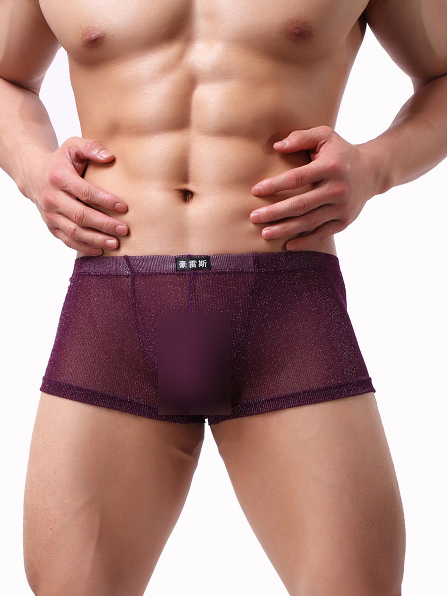 Transparent Underwear Underpants Mesh Bulge Pouch Shorts Low-rise Sheer Briefs 