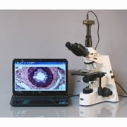 AmScope 40X-2500X Professional Infinity Plan Achromatic Trinocular Compound Microscope New