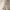 Beige, variant on Modern Moments by Gerber Toddler Boy Jonny Collar Shirt and Short Outfit Set, 2-Piece, 12 Months - 5T