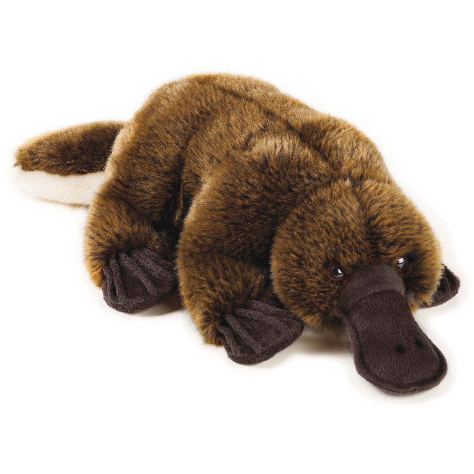 Lelly National Geographic Plush, Platypus - Walmart.com