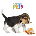 thumbnail image 2 of Caja de Palitos de Carnaza Fancy Pets Sabor Cacahuate 19 kg, 2 of 2
