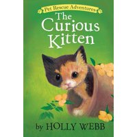 CURIOUS KITTEN