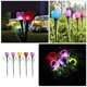 thumbnail image 3 of 5 luces solares decorativas con diseño de tulipán para exteriores, para jardín y paisaje., 3 of 8