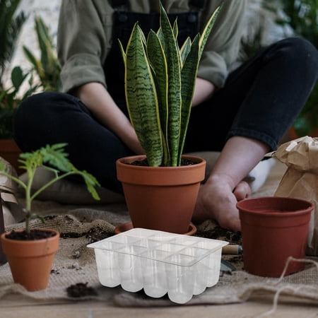 LOLIPPYY Durable Plastic Growing Trays with Drainage for Healthy Root Development