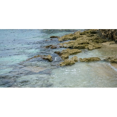 Canvas Print Caribbean Snorkeling Rocks Coral Reef Mexico Water Stretched Canvas 10 x (Best Shore Snorkeling In The Caribbean)