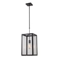 thumbnail image 2 of ElkGroup International 63022-1 Parameters-Bronze Bronze Pendant, 2 of 3