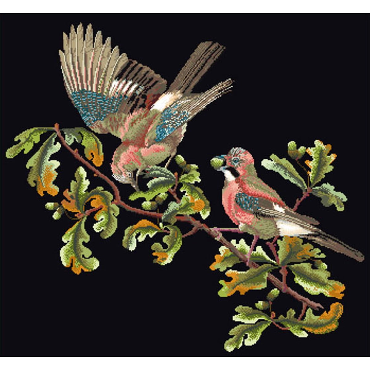 Thea Gouverneur Counted Cross Stitch Kit 19.5"X22"-Jays On Aida (18