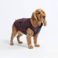 thumbnail image 1 of Spark Paws Chaqueta de invierno para perros, abrigo resistente al agua, cálido forro polar reflectante a prueba de viento, para perros medianos y grandes - Cosmic - L, 1 of 1