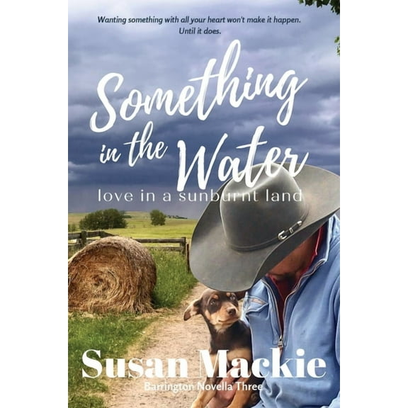 Barrington Something in the Water: Love in a Sunburnt Land, Book 6, (Paperback)