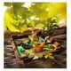 thumbnail image 2 of Juego De Destreza Ardillas 60 Retos Lógica Smart Games Smart Games Squirrels Go Nuts!, 2 of 5