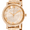 Gold, variant on Michael Kors Norie Quartz Movement Gold Dial Ladies Watch MK3560