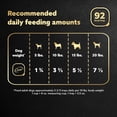 thumbnail image 6 of Casar Home Delights Beef Stew Wet Dog Food Adult, 3.5 Oz, 6 of 8