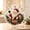 4#M A, variant on Christmas Pearl Diamond Painting Suncatcher Kit, 12 Inch DIY Acrylic Hanging Ornament Craft with Pearls, Rhinestones and Metal Chain for Window, Wall, Tree Holiday Decoration, Christmas Gift, 1 Set