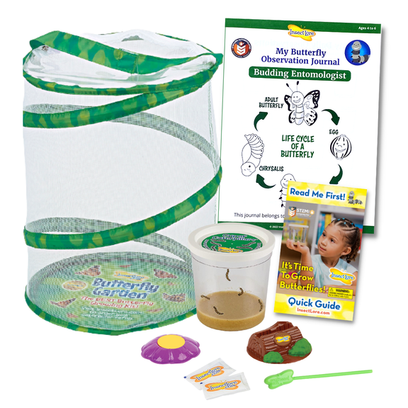 Butterfly Garden® With Live Cup of Caterpillars™
