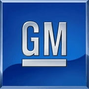 Genuine OE GM Wheel Cleaner - 19421468