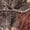 Camo Hunting, variant on Peacock Girls Sleeveless Vests 3T Full Zip Fall Outerwear Versatile Stretchy Stand Collar Casual Clothes for Girls Winter Sleeveless Jacket with Pockets for Daily Life