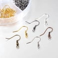 thumbnail image 3 of 120PCS Earring Hook Copper Creative Ball Coil DIY Earring Wire Earring Finding, 3 of 4