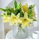 thumbnail image 4 of Flores Artificiales De Alta Gama, Lirios Artificiales, Decoraci N De Pl Stico, Dise O Floral Realista Y Decoraci N Del Hogar, Arreglo Elegante Para Sala De Estar, Vegetaci N Sin, 4 of 7