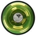 thumbnail image 2 of Platinum Pets Non-Tip Stainless Steel Dog Bowl, 80 Oz, Corona Lime, X-Large, 2 of 4