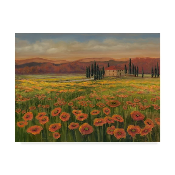 Trademark Fine Art 'Poppy Path to Home I' Canvas Art by Julie Joy
