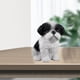 thumbnail image 4 of Estatua de perro, artesanía de resina, obra de arte de mesa, estatuilla, escultura, decoración de tienda Blanco negro, 4 of 9