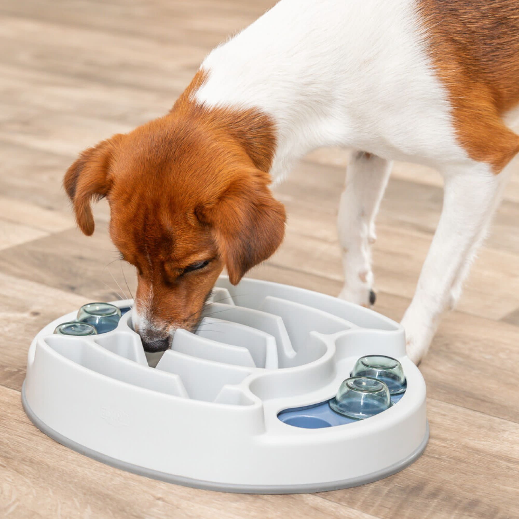 TRIXIE Dog Activity Slide & Feed Strategy Game, Level 2 Dog Puzzle Toy, Treat Dispenser