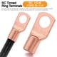 thumbnail image 5 of Cable De Calibre 8 (25 Pies Cada Uno, Negro/Rojo) Aluminio Revestido De Cobre Cca 60A Agu Portafusibles 20 Conectores De Terminales De Lengüetas Y Tubo Termorretráctil 2:1 Para Cable De Tierra De Ampl, 5 of 5